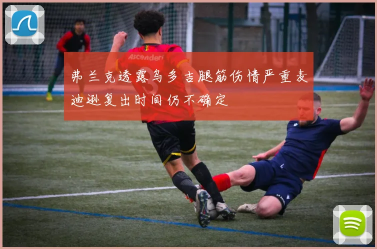 弗兰克透露乌多吉腿筋伤情严重麦迪逊复出时间仍不确定