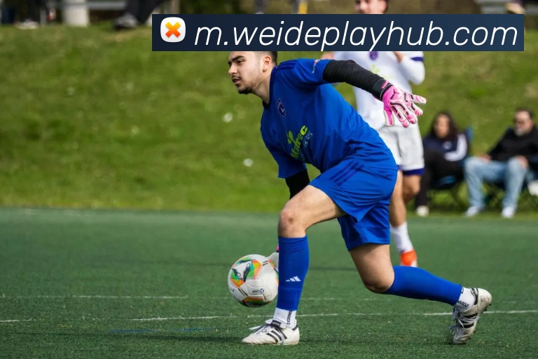 App Interface Preview