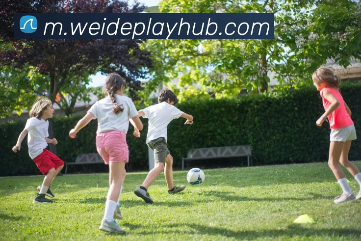 数据防护可视化